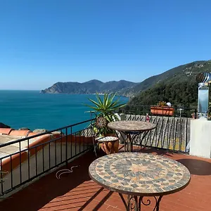 Dreams Guest house